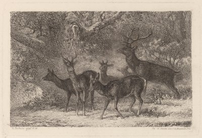lauma tekijältä Karl Bodmer