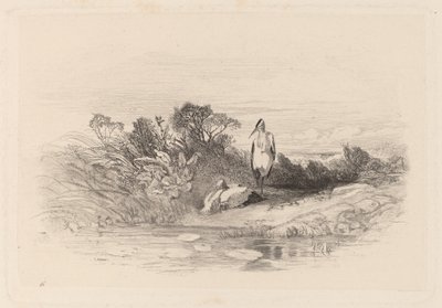 Kaksi haikaroita tekijältä Karl Bodmer