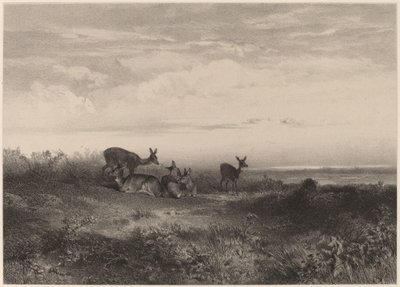 Takapäät. tekijältä Karl Bodmer