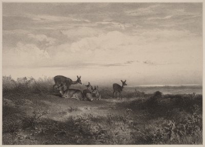 Naaraat tekijältä Karl Bodmer