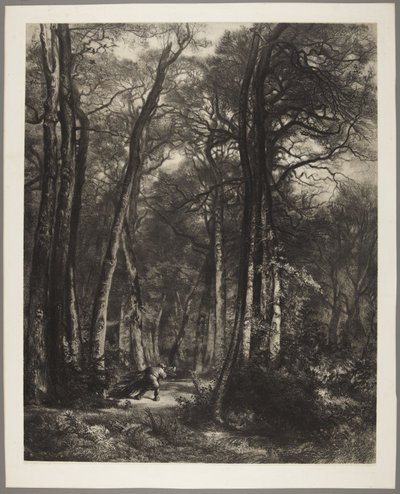 Mies metsässä tekijältä Karl Bodmer
