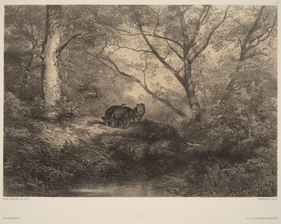 Villisian porsaat tekijältä Karl Bodmer