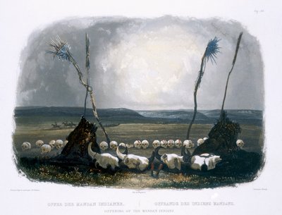 Mandan-intiaanien tarjous, levy 14 kirjan "Travels in the Interior of North America" 1. osasta, kaiverrus Sigismond Himely (1801-72) 1843 (akvatinta) tekijältä Karl Bodmer