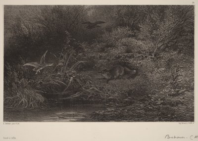 Kettu väijyksissä tekijältä Karl Bodmer