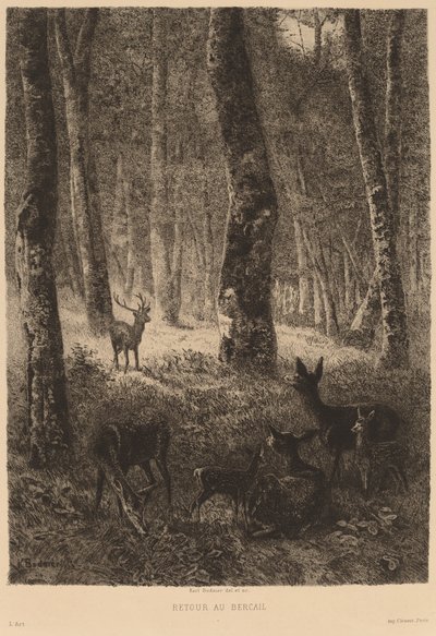 Finès de tornada a casa tekijältä Karl Bodmer