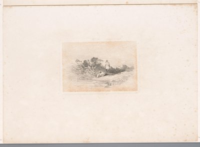 Kaksi haikaroita rannalla Maisemat eläinten kanssa (sarjan nimi) tekijältä Karl Bodmer