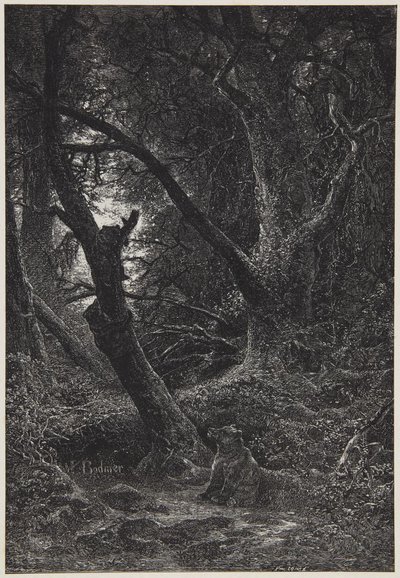 Kaksi karhua metsässä tekijältä Karl Bodmer