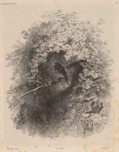 Turvakoti, 1858. tekijältä Karl Bodmer