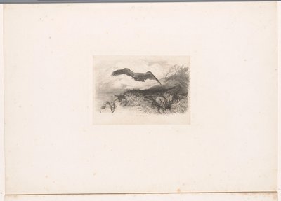 lentävä kotka Maisemat eläinten kanssa (sarjan nimi) tekijältä Karl Bodmer