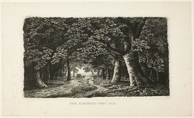Metsäpolku valmentajan kanssa tekijältä Karl Friedrich Schinkel