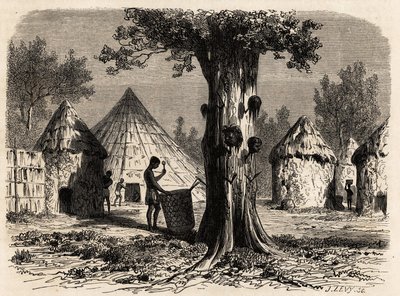 Sodan puu Djourin kylässä Bahr-el-Gazalin alueella Sudanissa, piirustus Karl Girardet (1813-1871) havainnollistamaan matkaa A. Bolognesin gasellien joelle vuosina 1856-1857. Kaiverrus kirjassa "" Le tour du monde", toimittanut Edouard Charton tekijältä Karl Girardet
