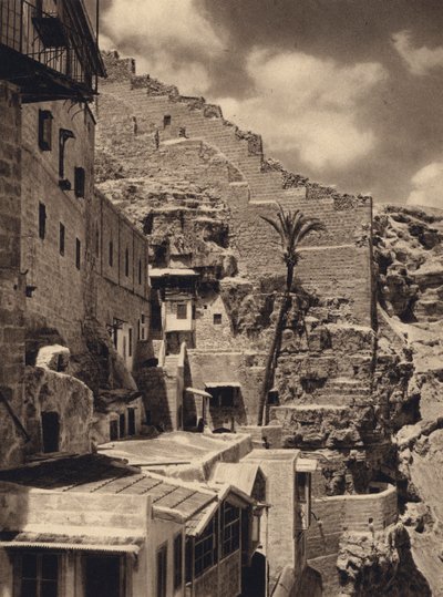 Mar Saba, Palm of St Sabas (m/w kuva) tekijältä Karl Grober