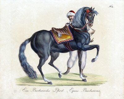  tekijältä Karl Joseph Brodtmann