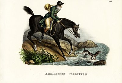 Englantilainen metsästäjähevonen, 1824 tekijältä Karl Joseph Brodtmann