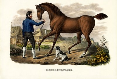 Mecklenburger Horse, 1824 tekijältä Karl Joseph Brodtmann