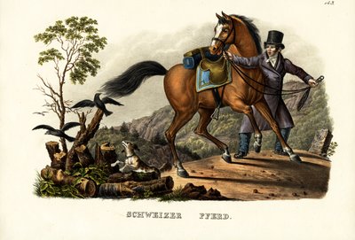 Sveitsin hevonen, 1824 tekijältä Karl Joseph Brodtmann