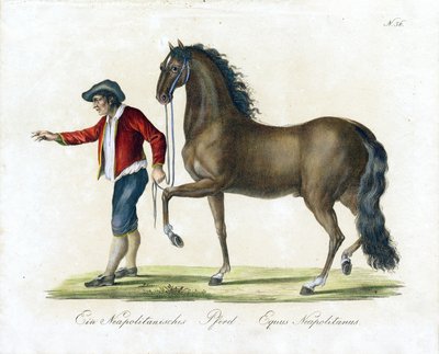  tekijältä Karl Joseph Brodtmann