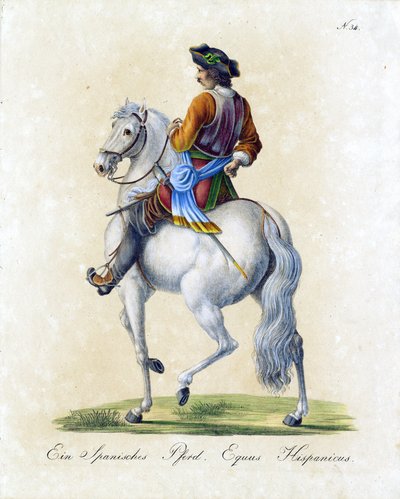  tekijältä Karl Joseph Brodtmann