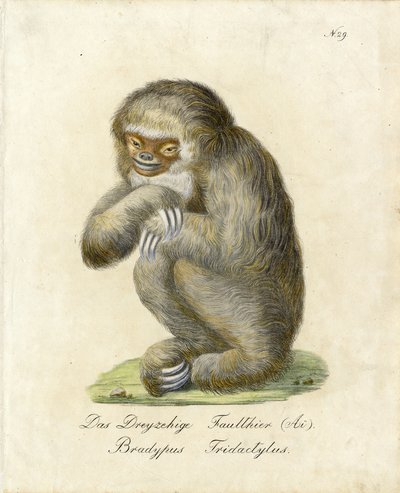  tekijältä Karl Joseph Brodtmann