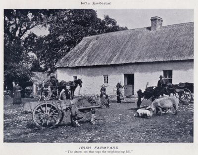 Irish Farmyard (m/w kuva) tekijältä Karl Karlovich Piratsky