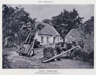 Irish Farmyard (m/w kuva) tekijältä Karl Karlovich Piratsky