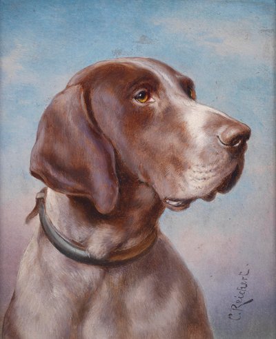 Hunde -muotokuva tekijältä Karl Reichert