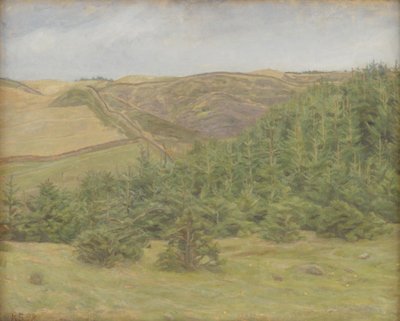 Svanninge Hills, Funen tekijältä Karl Schou