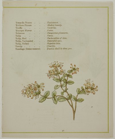 Valerian Through Volkamenia, kirjasta The Illuminated Language of Flowers tekijältä Kate Greenaway
