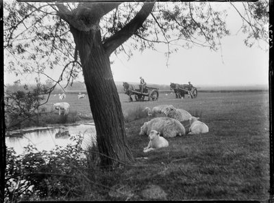 Luckhurst, Lower Road, Stone-Cum-Ebony, Ashford, Kent tekijältä Katherine Jean Macfee