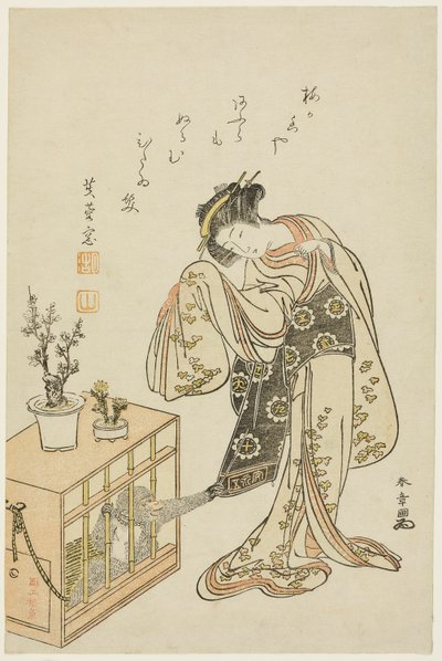 Nuori nainen häkkiapina kanssa (kalenterivedos uudelle vuodelle 1776) tekijältä Katsukawa Shunsho