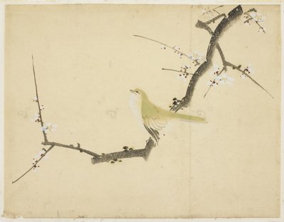 Satakieli luumun oksalla tekijältä Katsushika (school of) Hokusai