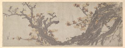 Kukassa oleva ikivanha luumupuu tekijältä Katsushika Hokusai