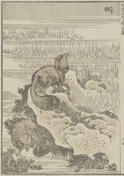 Mäyrä, c. 1840 (puupainatus) tekijältä Katsushika Hokusai