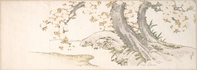 Kukassa olevat kirsikkapuut puron varrella tekijältä Katsushika Hokusai
