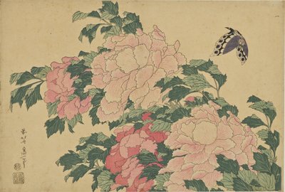 Perhoset ja pionit tekijältä Katsushika Hokusai