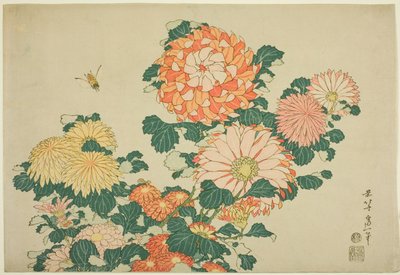 Krysanteemit ja mehiläinen nimettömästä Large Flowers -sarjasta tekijältä Katsushika Hokusai