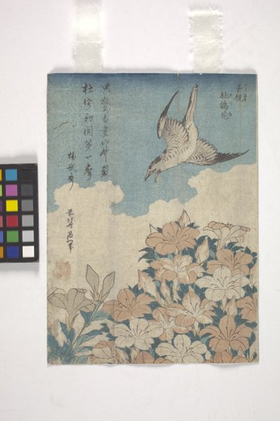 Käki ja atsalea (värillinen puupiirros) tekijältä Katsushika Hokusai