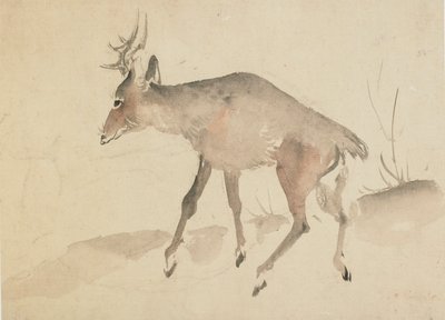 Hirvi, 1700-luvun loppu - 1800-luvun alku. tekijältä Katsushika Hokusai