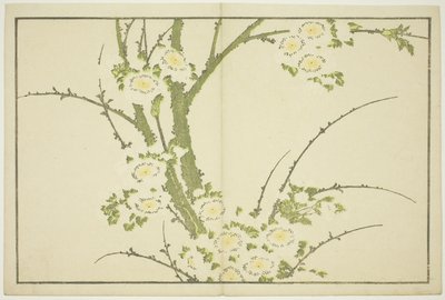 Kukkia, teoksesta Hokusain realististen maalausten kuvakirja (Hokusai shashin gafu), noin 1814 (värillinen puupiirros (albumiarkki)). tekijältä Katsushika Hokusai