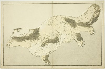 Fox, The Picture Book of Realistic Paintings of Hokusai (Hokusai shashin gafu) tekijältä Katsushika Hokusai