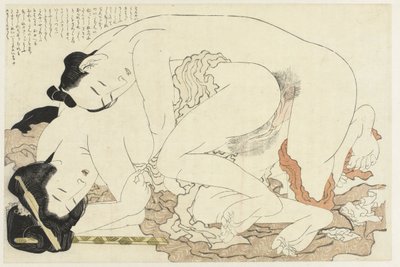 Naimisissa oleva nainen rakastajan kanssa Adonisin kasvi (sarjan nimi) Fukujuso (sarjan nimi) tekijältä Katsushika Hokusai