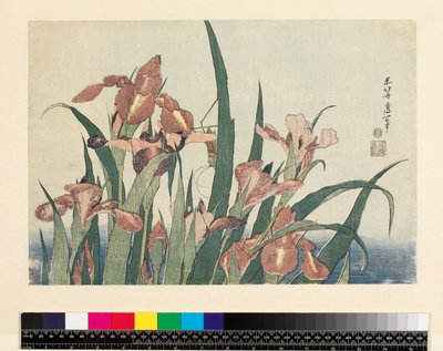 Iirikset ja heinäsirkka, pubi. kirjoittanut Nishimura Eijudo, n. 1832, (yoko-e - vaakamuoto, värillinen puupainatus) tekijältä Katsushika Hokusai