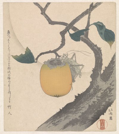 Kaki hedelmää heinäsirkkalla tekijältä Katsushika Hokusai