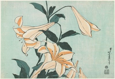 Liljat tekijältä Katsushika Hokusai