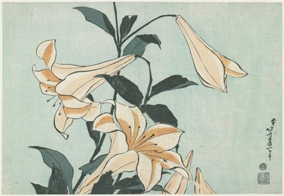 Liljat, noin 1832 tekijältä Katsushika Hokusai