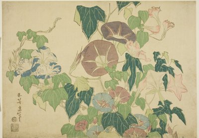 Morning Glories ja Tree-sammakko, nimettömästä Large Flowers -sarjasta tekijältä Katsushika Hokusai