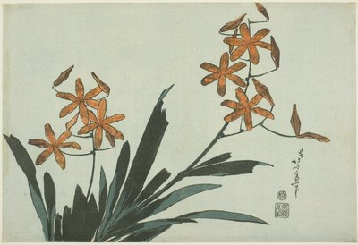 Oranssit orkideat nimettömästä kukkasarjasta tekijältä Katsushika Hokusai