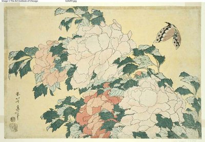 Pionit ja perhonen, nimettömästä suurten kukkien sarjasta tekijältä Katsushika Hokusai