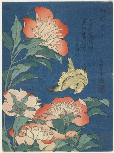 Pionit ja kanaria, n. 1833 tekijältä Katsushika Hokusai