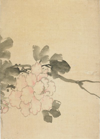 Peônia, final do século XVIII e início do século XIX. finlandês tekijältä Katsushika Hokusai